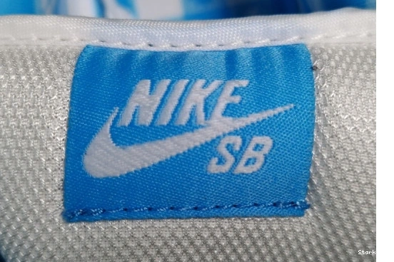 Low Nike Lobster 313170-342 Blue Dunk - SB 0112